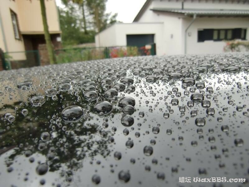 Wolf Chemicals Hard Body.jpg